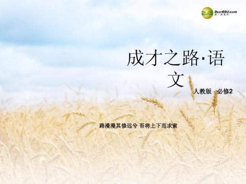 2014年高中语文 专题三 选用 仿用 变换句式课件 新人教版必修2