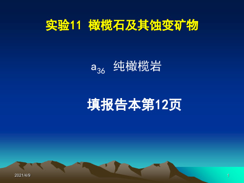 14--橄榄石