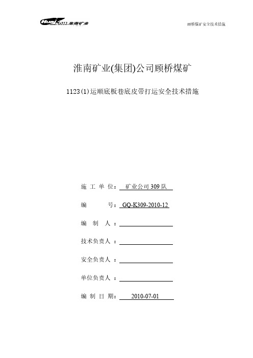 【VIP专享】底皮带打运安全技术措施