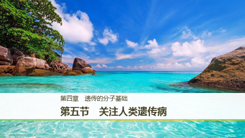 2019_2020学年高一苏教版生物必修二课件：4.5 关注人类遗传病 