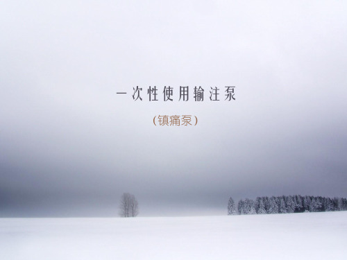 一次性使用输注泵教学内容