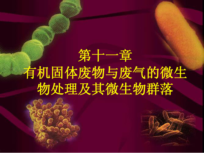 环境微生物学-第十一章 有机固体废物与废气的微生物处理及其微生物群落