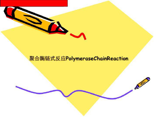 聚合酶链式反应PolymeraseChainReaction