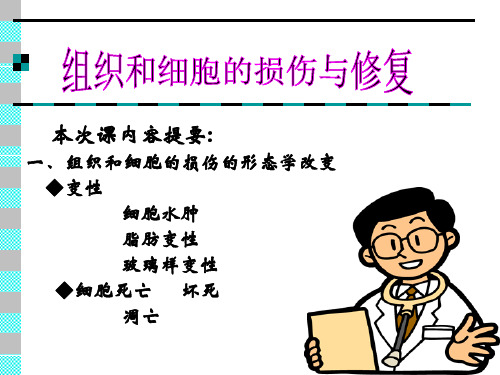 组织损伤