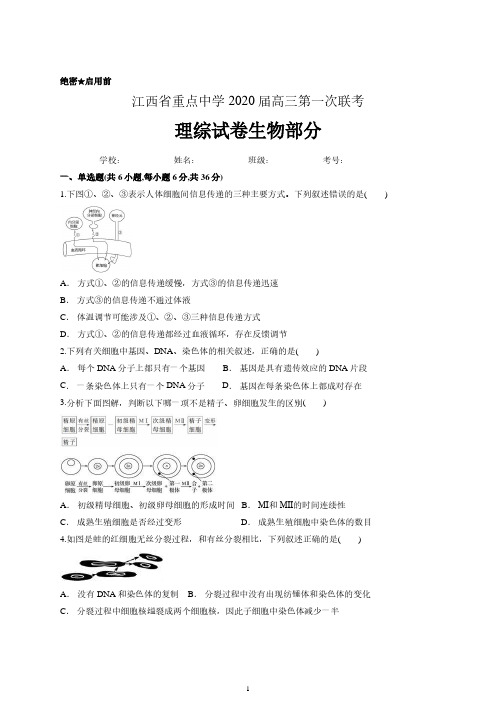 江西省重点中学2020届高三第一次联考理综试卷生物部分及答案