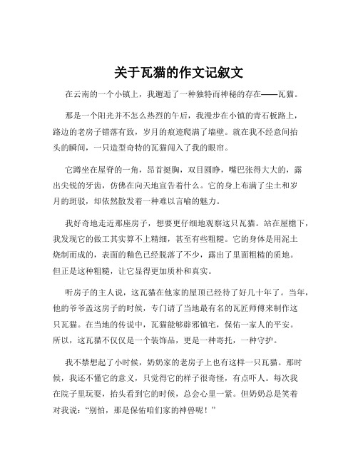 关于瓦猫的作文记叙文