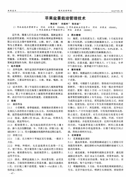 苹果盆景栽培管理技术