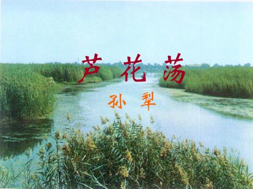 《芦花荡》公开课ppt课件