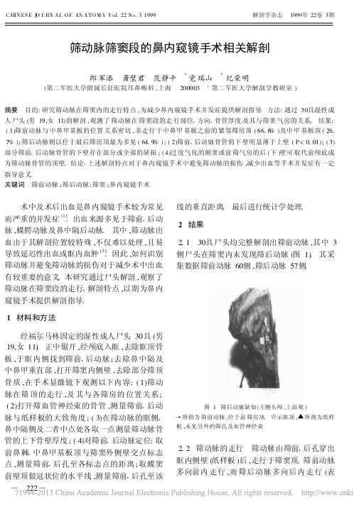 筛动脉筛窦段的鼻内窥镜手术相关解剖_郎军添