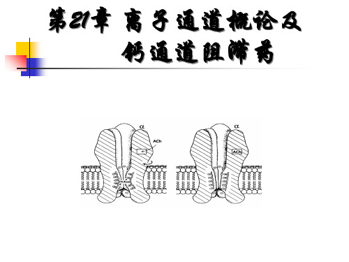 离子通道概论及钙通道阻滞药