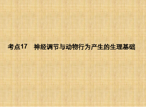 【导与练】高中生物一轮总复习 考点17 神经调节与动物行为产生的生理基础名师课件