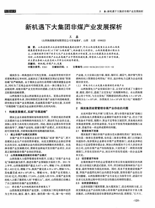 新机遇下大集团非煤产业发展探析