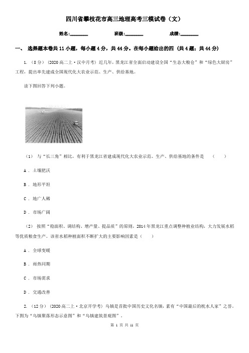 四川省攀枝花市高三地理高考三模试卷(文)