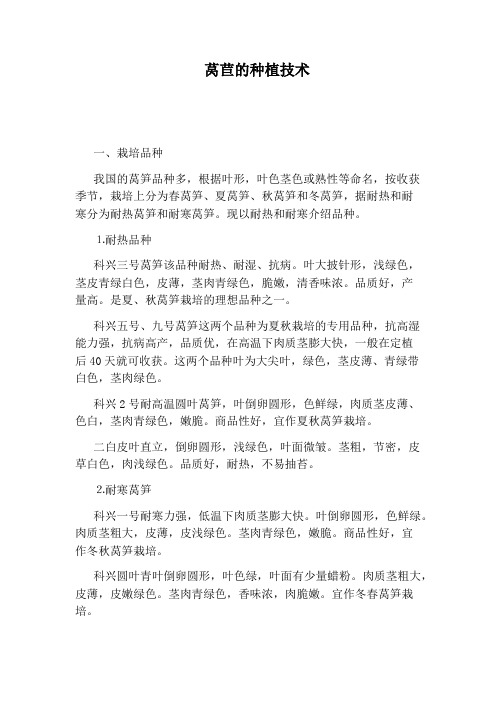 莴苣的种植技术