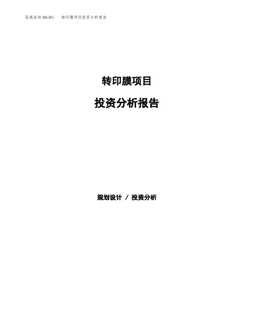 转印膜项目投资分析报告