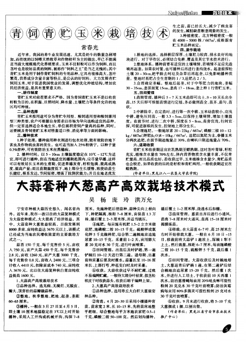 大蒜套种大葱高产高效栽培技术模式