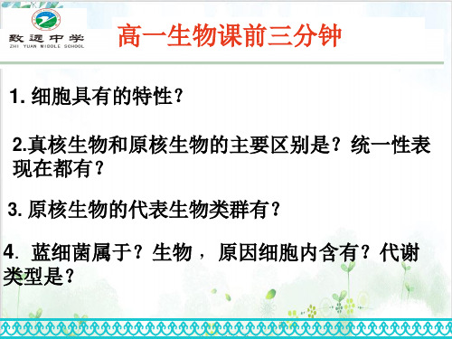 [人教版]《细胞中的元素和化合物》优秀课件1