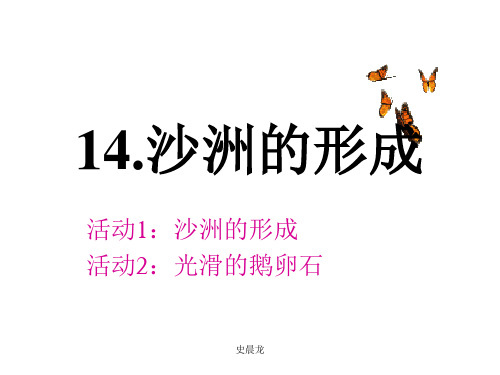 14沙洲的形成