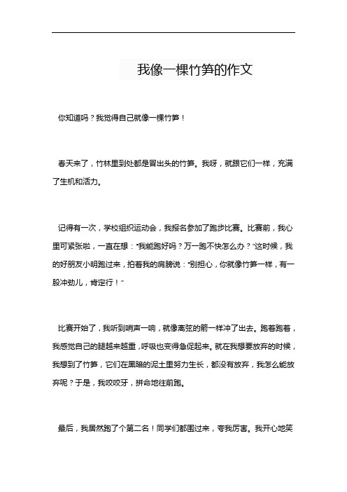 我像一棵竹笋的作文