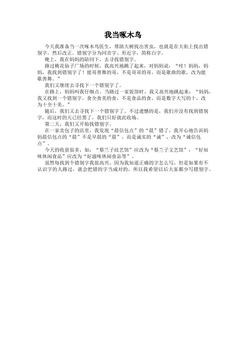 啄木鸟日记