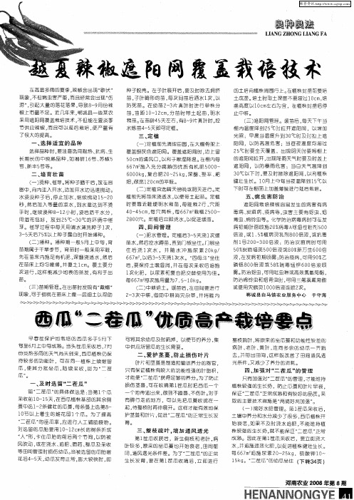 西瓜“二茬瓜”优质高产栽培要点