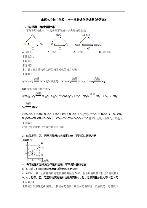 成都七中初中学校中考一模测试化学试题(含答案)