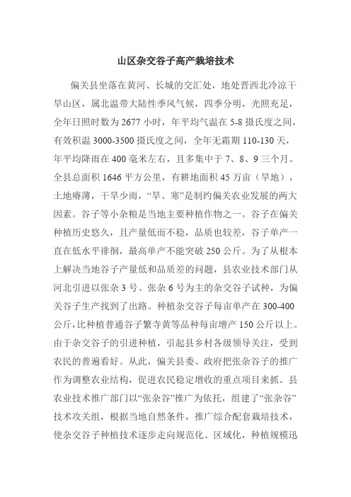 山区杂交谷子高产栽培技术