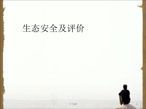 《生态安全》PPT课件