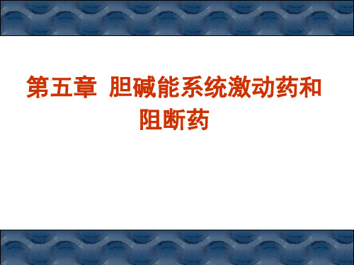 第五章胆碱能系统激动药和阻断药