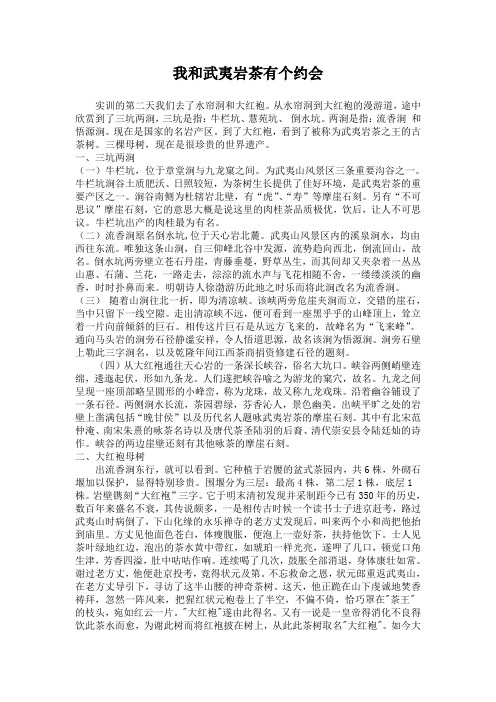 我和武夷岩茶有个约会