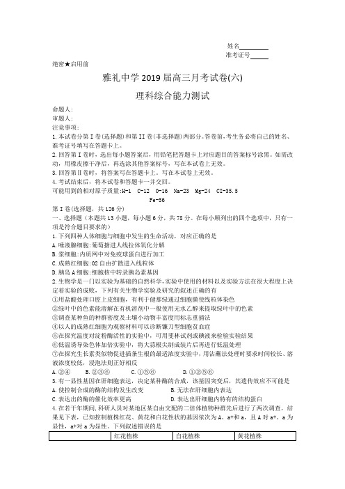 雅礼中学2019届高三月考试卷(六)