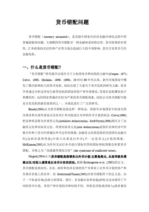 货币错配问题