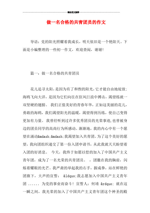 做一名合格的共青团员的作文