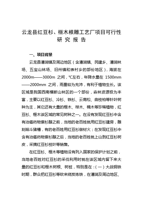 云龙县红豆杉、榧木根雕工艺厂项目可行性研究报告(优秀可研)[管理资料]