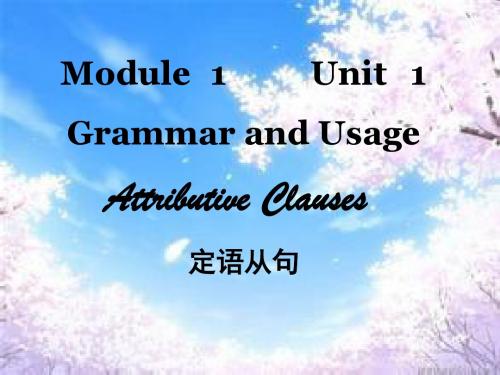M1 U1 Grammar定语从句