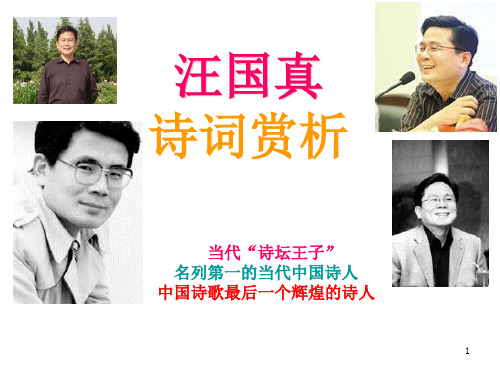 汪国真诗词赏析课程简介 PPT