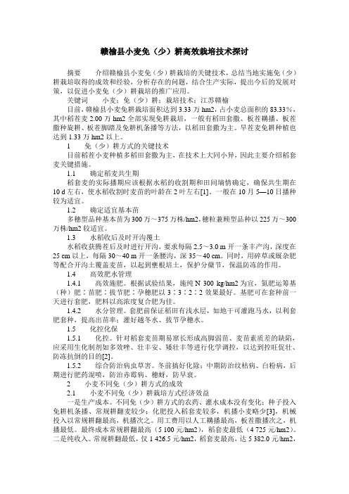 赣榆县小麦免(少)耕高效栽培技术探讨