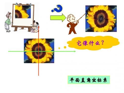 坐标平面内的图形变换ppt4 浙教版