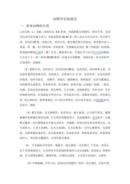 软体动物的分类