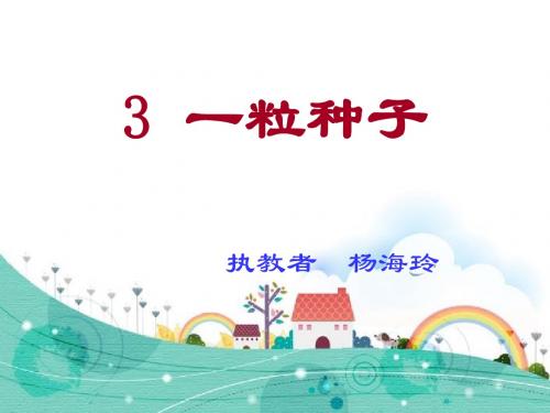 《一粒种子》课件PPT