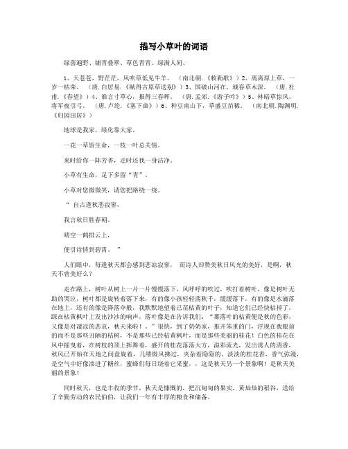 描写小草叶的词语