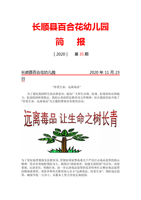 百合花幼儿园“珍爱生命,远离毒品”简  报35期(2020.11)