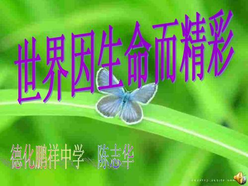 世界因生命而精彩