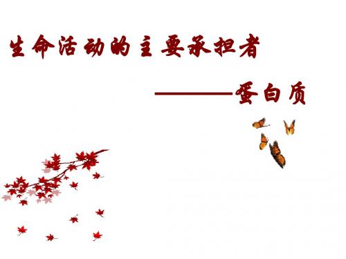 生命活动的主要承担者—蛋白质
