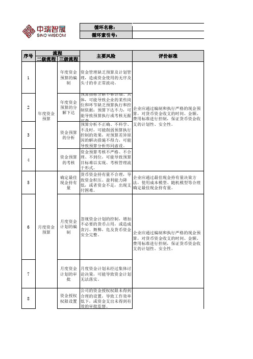【内部控制评价测试程序】中瑞智晟内控测试与评价底稿--C货币资金--20140527