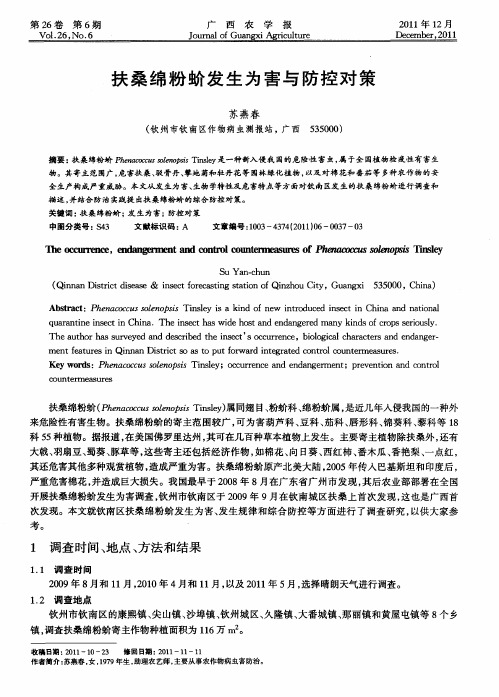 扶桑绵粉蚧发生为害与防控对策