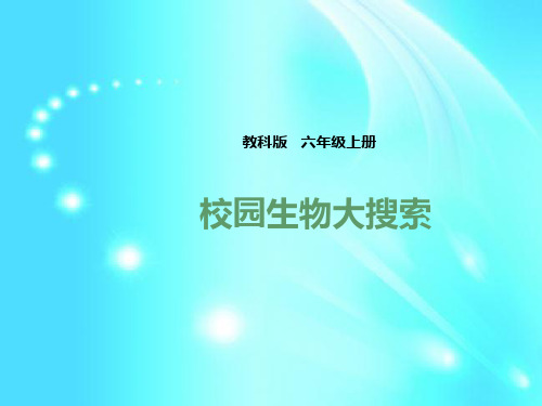 【精品】六年级上册科学课件-4.1《校园生物大搜索》   l   教科版 (共25张PPT)