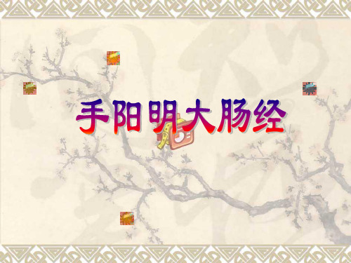 手阳明大肠经-医学讲座