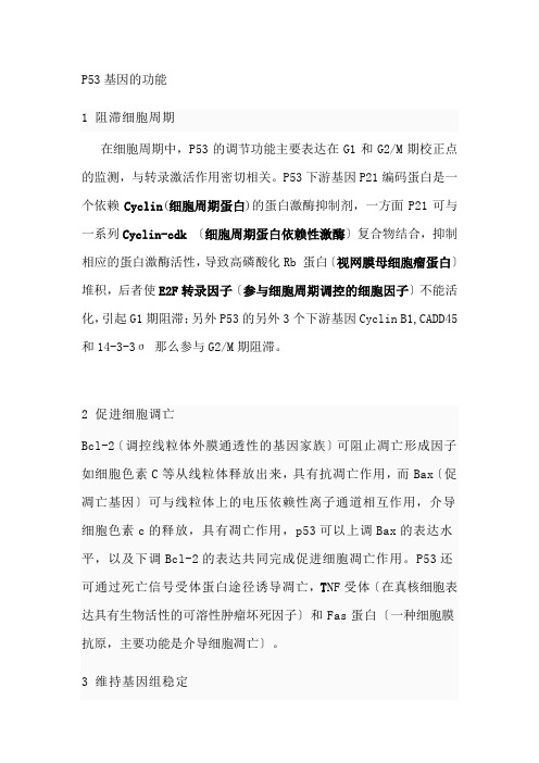 P53基因的功能