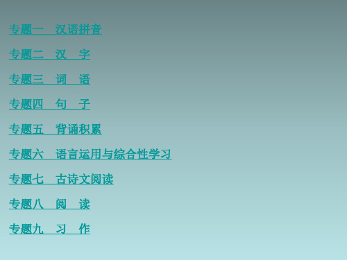 小学语文毕业升学考试系统总复习全套课件